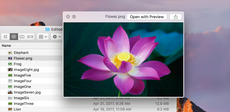 Quicklook on MacOS (source: Apple)